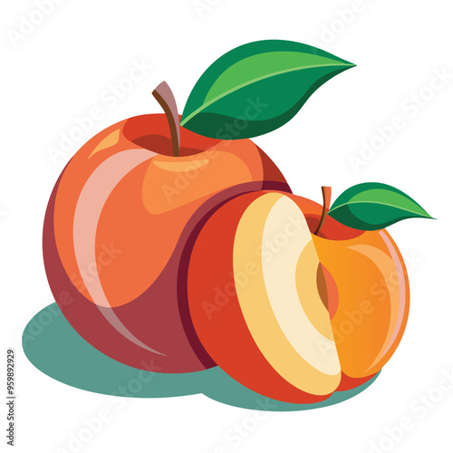 Nectarine Fruit Vector Illustration