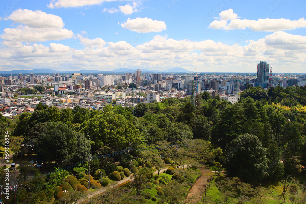 Obraz premium 宇都宮市 宇都宮タワーから見た街並み（JR宇都宮駅方向）