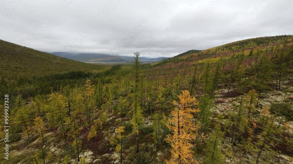 Soaring above the vast expanses of Yakutia, witness the vibrant autumn colors illuminating the vast forests and rolling hills. Nature unfolds its beauty from above. Soaring above the vast expanses of Yakutia, witness the vibrant autumn colors illuminating the vast forests and rolling hills. Nature unfolds its beauty from above.