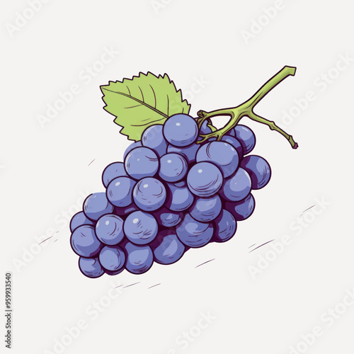 Fresh purple grape illustration