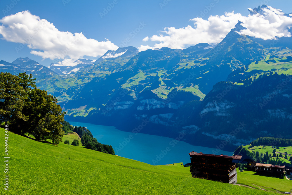 Fototapeta premium Alps Landscape Background