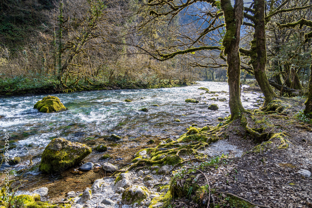 Obraz premium Blue mountain river, banks in moss and snowdrops, Abkhazia