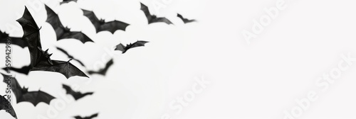 Banner for Halloween holiday with bats on white background with place for text