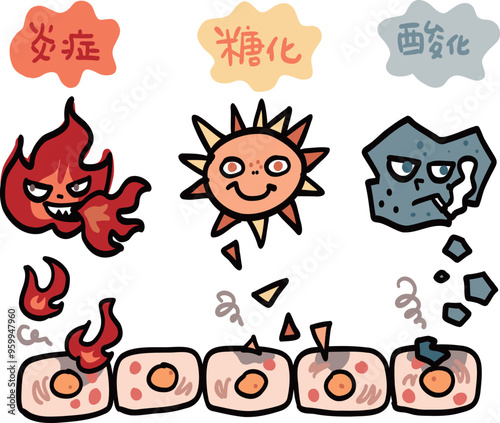 細胞を傷つけて老化を進める要因