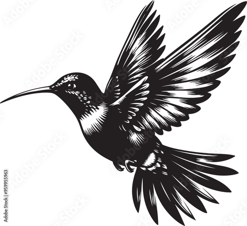 hummingbird vector design clipart flat style artwork photo