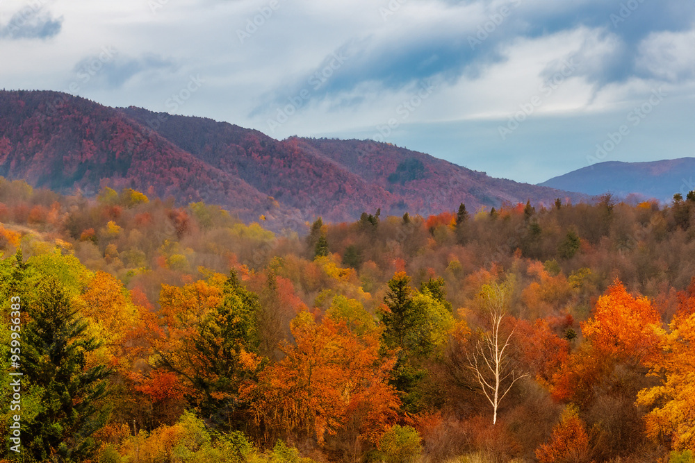 Autumn Landscape Background Autumn Landscape Background