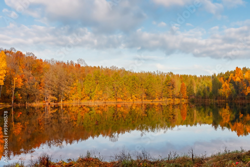 Autumn Landscape Background