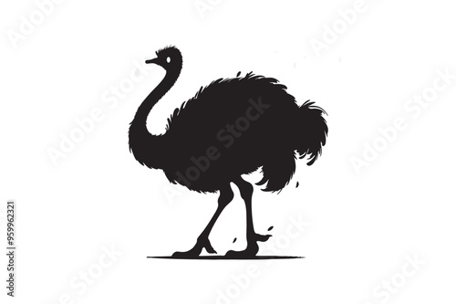 Ostrich  vector art and illustration photo