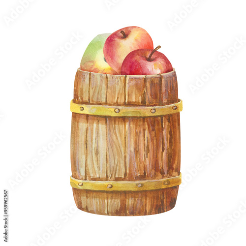 Wooden barrel with red apples in a village yard. Autumn Harvest for Harvest Festival and Thanksgiving. Hand-drawn illustration for printed scrapbooking, greeting and farm holiday invitation cards photo