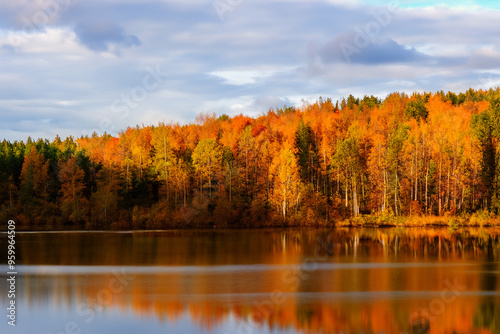 Autumn Landscape Background