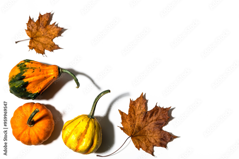 Three different pumpkins on a white background Three different pumpkins on a white background