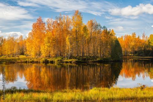 Autumn Landscape Background