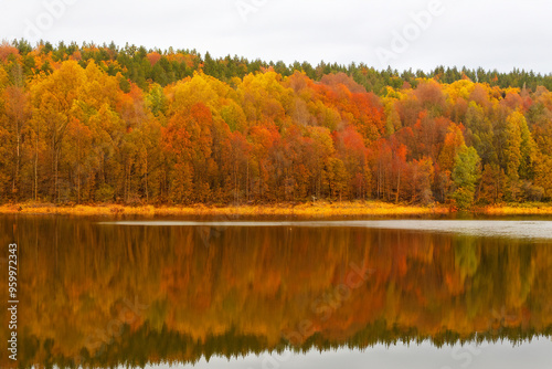 Autumn Landscape Background