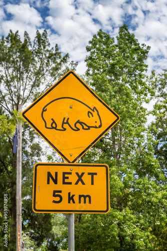 A bright yellow caution sign alerts drivers to watch for wombats over the next 5 kilometers while driving through a green landscape.