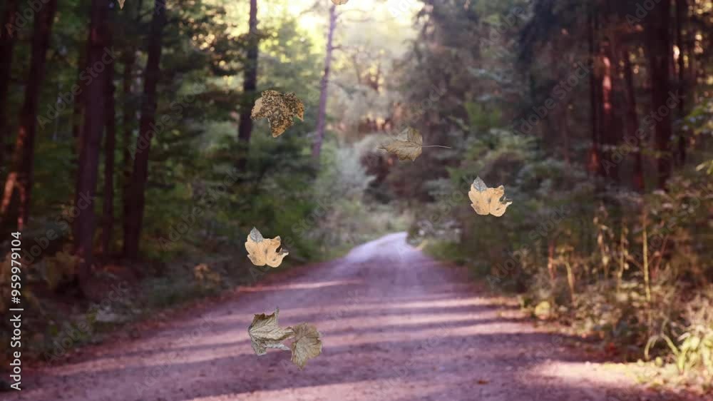 Falling autumn leaves in the forest, realistic nature Background Falling autumn leaves in the forest, realistic nature Background