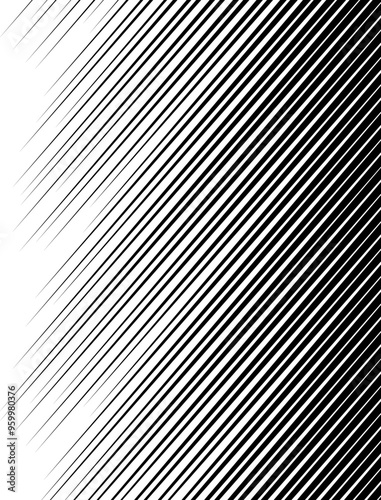 black and white stripes