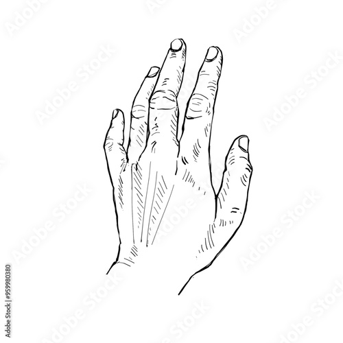 Illustration hand drawn Human hand Action sketch ink style on white background.