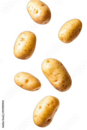 Obraz na płótnie potatoes falling from above over isolated white transparent background w salonie