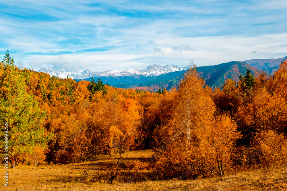 Fototapeta premium Autumn Landscape Background