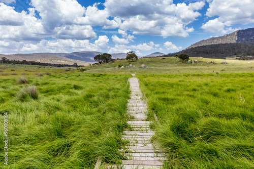 A tranquil boardwalk leads through lush greenery at Bogong creek in Namadgi National Park, surrounded by mountains and vibrant clouds. photo