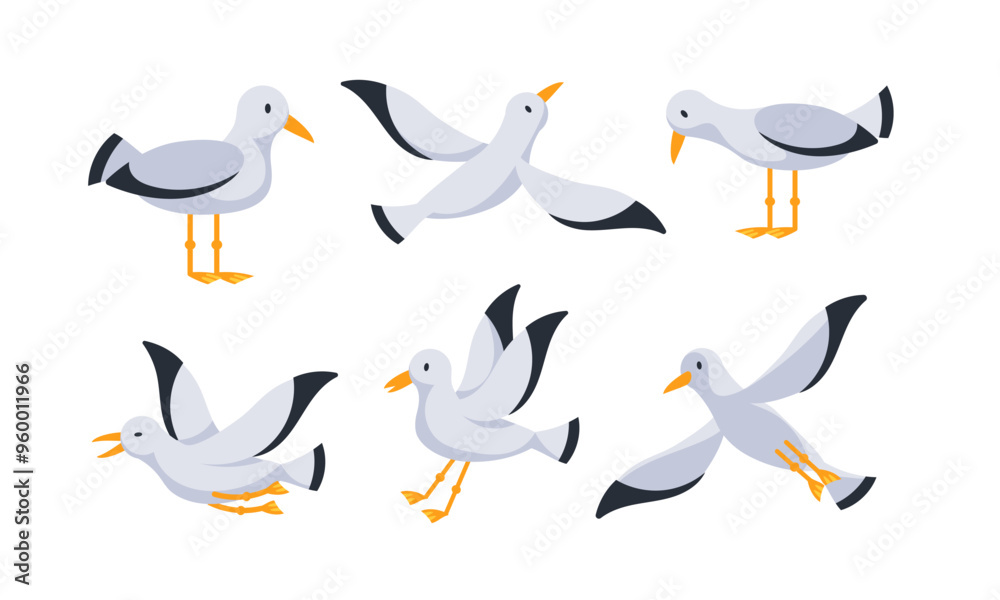 Obraz premium Set of cartoon seagulls standing and flying with spread wings