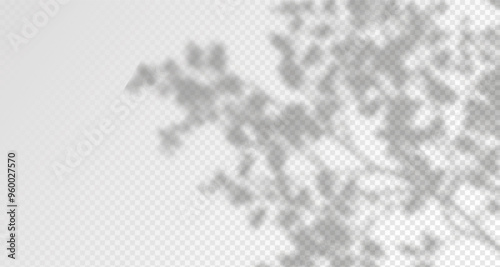Blurred shadows from leaves and plants in the room. Soft overlay of natural light. Abstract background for product presentation.