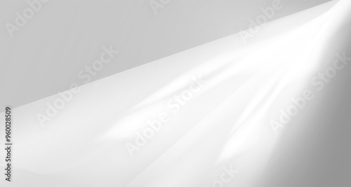 Glare from the sun's rays on the wall. Blurred shadows from leaves and plants in the room. 