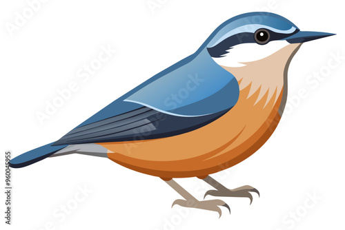  Nuthatch bird side view vector art illustration photo