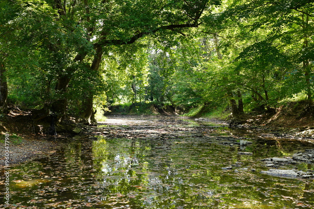 Kentucky Creek Bank Kentucky Creek Bank