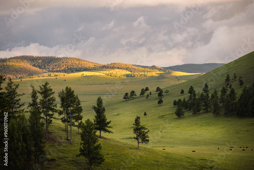 Northern Mongolia landscape