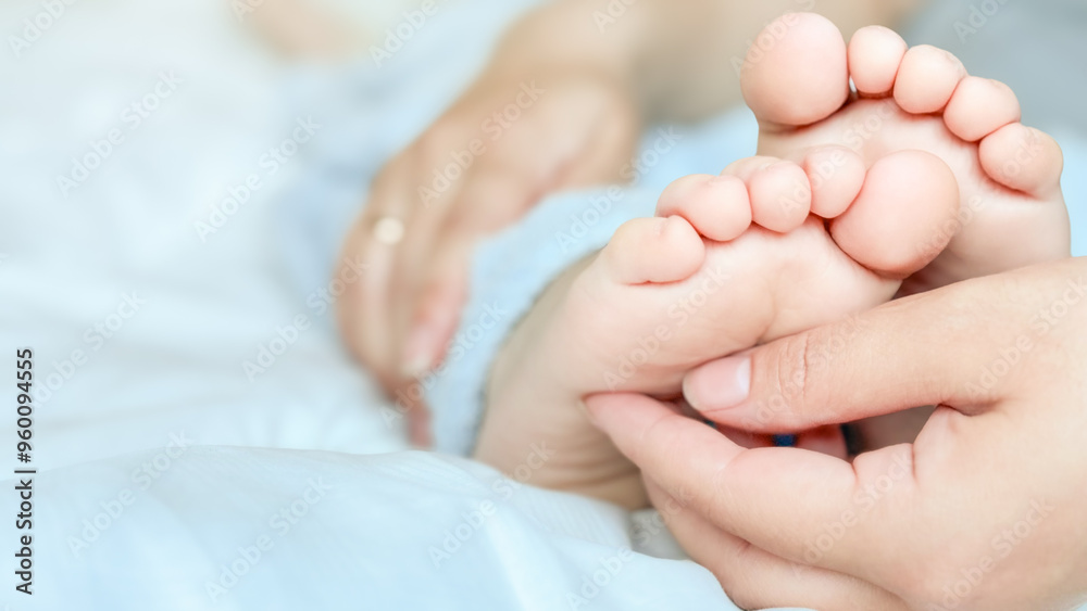 The mother tickles the baby's feet. Children's feet in the hands of the mother, wrapped in a blue blanket. Close-up of a todler's legs on a woman's hands. Mom and her child. Happy family concept The mother tickles the baby's feet. Children's feet in the hands of the mother, wrapped in a blue blanket. Close-up of a todler's legs on a woman's hands. Mom and her child. Happy family concept