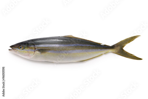 Rainbow runner, this fish is called Tsumuburi in Japan.