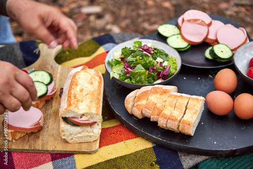 Sausage, bread and vegetables for a sandwich lying on a plaid plaid on a log in the woods. Concept of a snack on a picnic in the forest on a camping trip in the fall photo