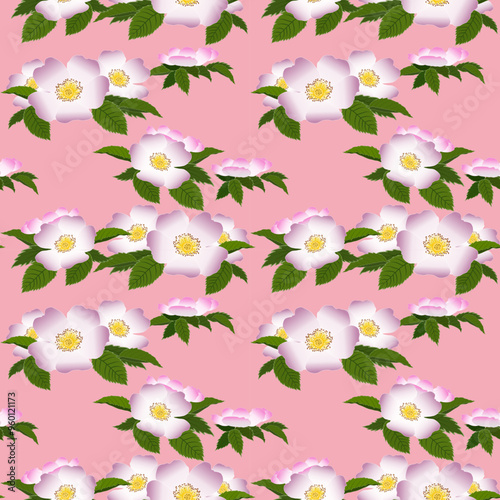 Vecter illustration of Watercolor seamless pattern with floral