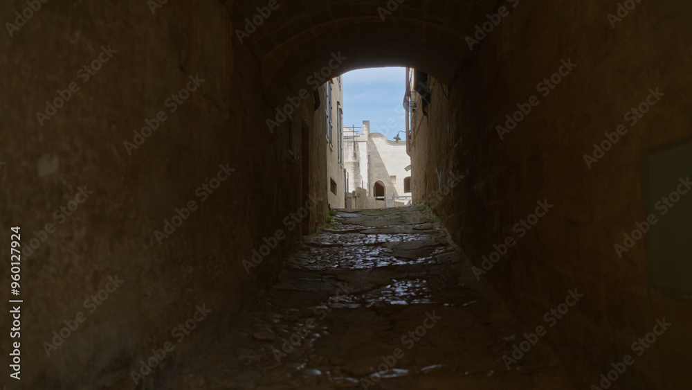 Obraz premium A narrow, cobblestone alleyway in matera, basilicata, italy, showing a bright view of historic stone buildings under a clear blue sky through an archway.