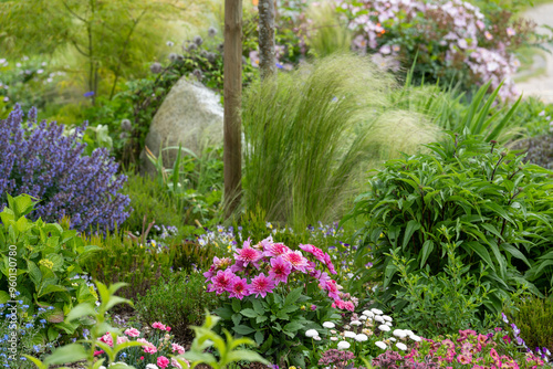 Garten mit Federgras photo