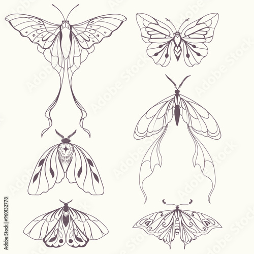Boho vintage vector art design with bohemian butterfly. Isolated insect icon ...