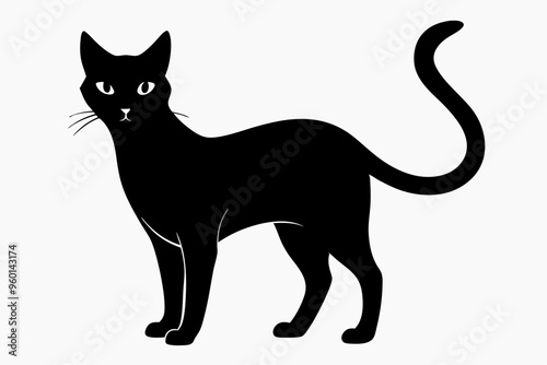 cat silhouette,cat vector icon,cat illustration