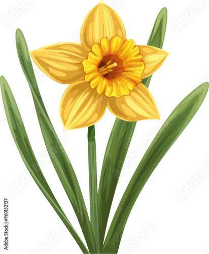 A single yellow daffodil