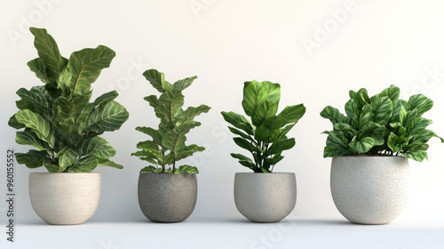 High-Resolution Photography of Different Potted Plants on White Background, Highly Detailed photo