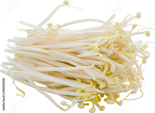 Fresh bean sprouts ready to eat.