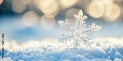 Stunning Snowflake Detail with Delicate Light Highlights on Snow