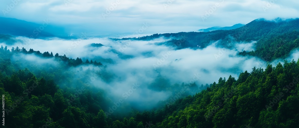 A breathtaking view of mist-covered mountains and lush forests under a cloudy sky, showcasing nature's serene beauty. A breathtaking view of mist-covered mountains and lush forests under a cloudy sky, showcasing nature's serene beauty.