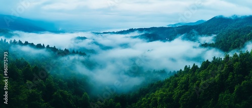 A breathtaking view of mist-covered mountains and lush forests under a cloudy sky, showcasing nature's serene beauty.