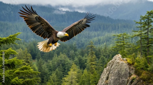 A majestic bald eagle soaring over a protected forest in North America, symbolizing wildlife conservation and national pride photo