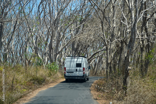 A white van drives down a deserted road lined with bare trees.