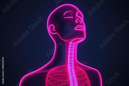 Neonoutlined 3D model of human vocal cords, 3D illustration photo