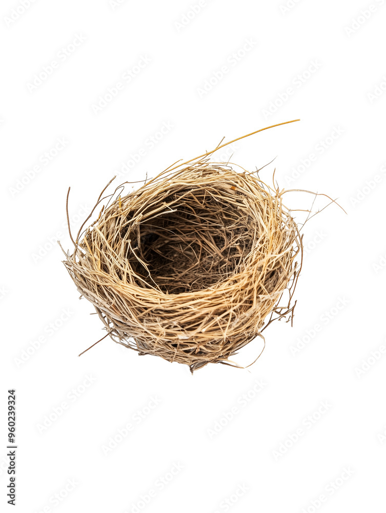 small bird wooden nest isolated on transparent background small bird wooden nest isolated on transparent background