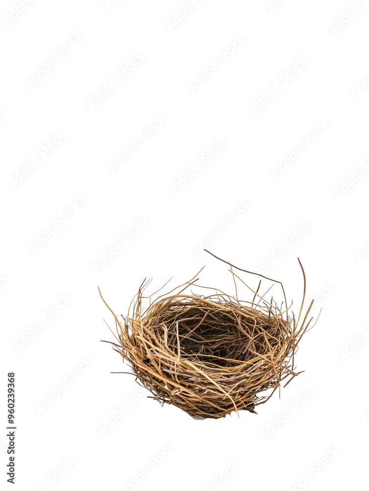 Obraz premium small bird wooden nest isolated on transparent background