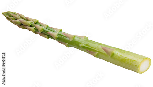 A single stalk of asparagus on transparent background